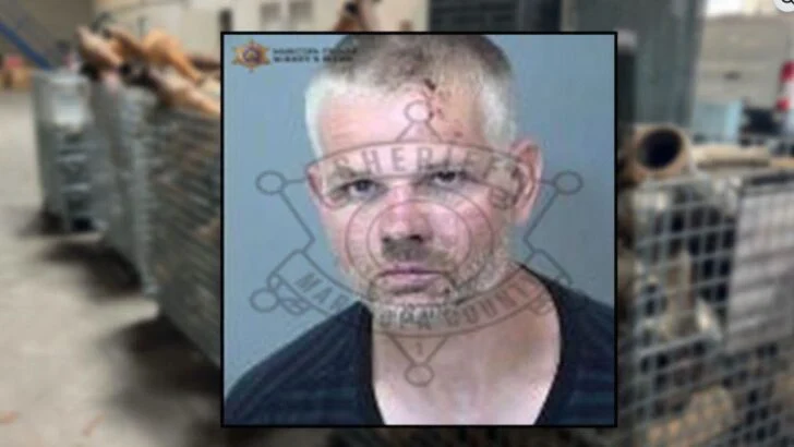 Police Say a Daytime Catalytic Converter Theft Led to 14 Stolen Parts in a Truck