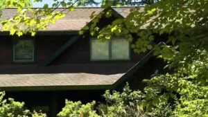 foreclosed home overgrown yard,