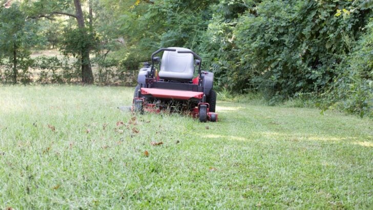 A Property Owner Left a Stuck Mower Near a Ditch. When They Came Back, It Was Gone