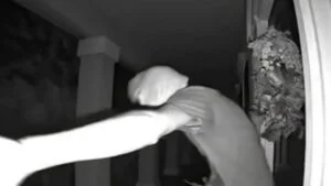 Police Warn Teens That Kicking a Stranger’s Front Door Is Not a Harmless Prank