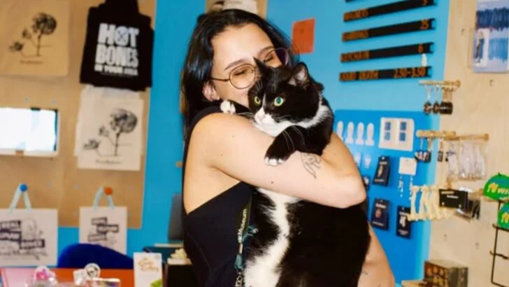 Meet Bone Jovi, the Shelter Cat Guarding Brooklyn’s Bone Museum