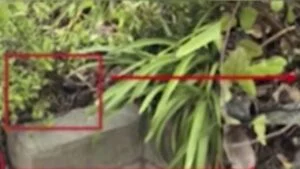 Hidden surveillance camera found in Brea neighborhood
