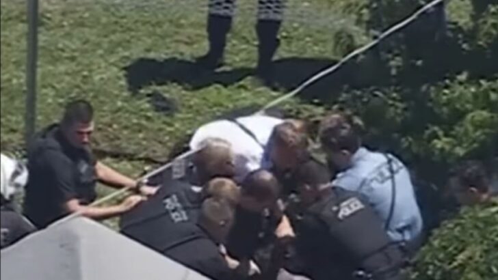 Police Say a Stolen-Car Suspect Hid in a Neighbor’s Backyard After a Philadelphia Chase