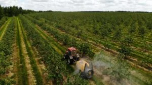 tractor spraying pesticide orchard