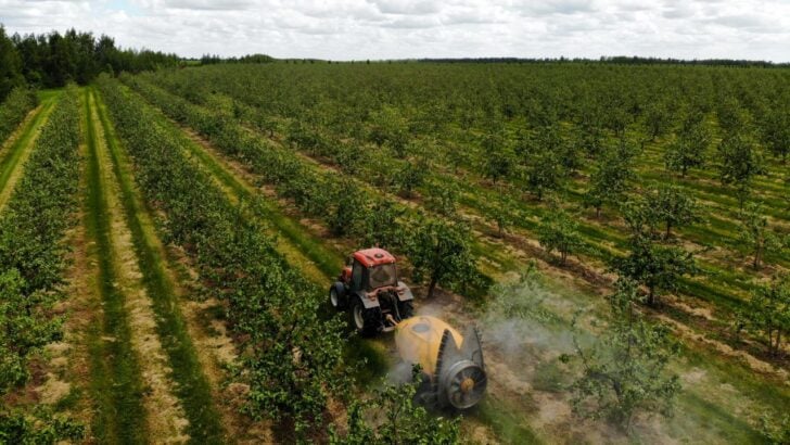 Vermont Just Banned a Weed Killer That EPA Says Should Not Be Used Around Home Gardens