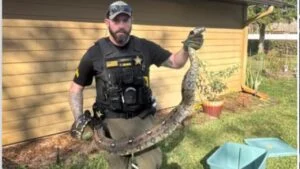 A Homeowner Found a 9-Foot Boa in Her Yard