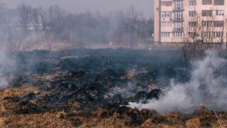 Disaster, damage to nature, risk of fire home