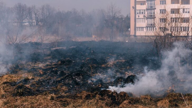If You Start a Wildfire, the Firefighting Bill Could Come Back to You