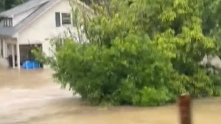 They Bought Their First Home Three Weeks Ago. Then Floodwater Rose to Their Chests