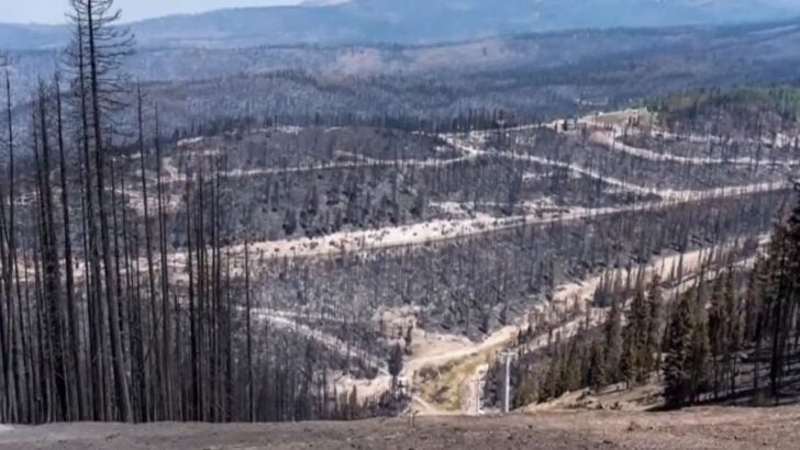 More Than 100 Privately Owned Condos Were Damaged in a Utah Resort Wildfire