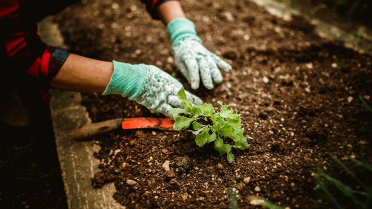 An 83-Year-Old Mississippi Woman Died Tending to the Garden She Loved