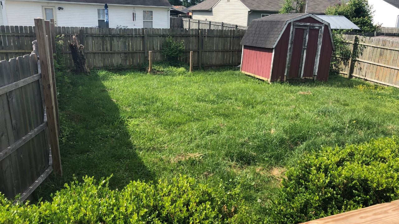 large shed blocking backyard view