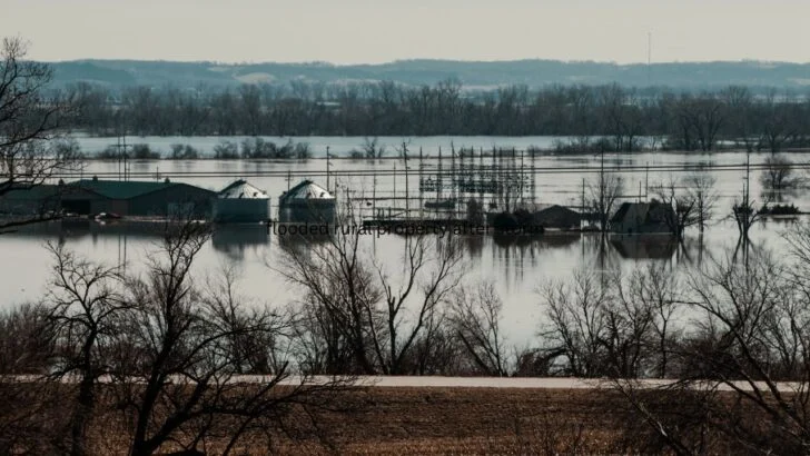 Nebraska Residents Face Flooded Fields, Fallen Trees, and Insurance Calls After Overnight Storms