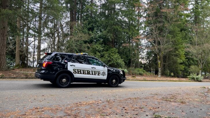 A 911 Hang-Up Call Led Deputies to a North Carolina Burglary Investigation and Five Arrests