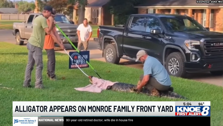A 9-Foot Alligator Turned Up by the Front Door of This Louisiana Home, Disrupting a Family’s Summer Morning Routine