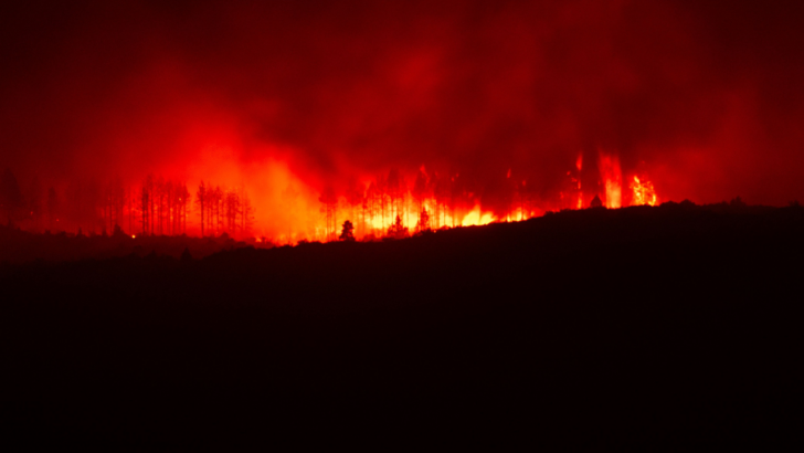 Wildfire Risk Drives an 84% Jump in California Home Insurance Premiums Since 2020, Stanford Finds