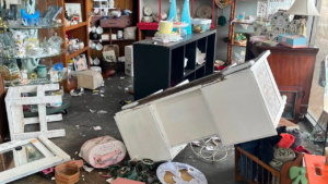 Deer Crashes Into Store