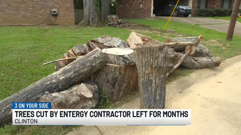 Frustrated Homeowners Say a Utility Company Cut Their Trees, Left the Debris, and Let the City Cite Them