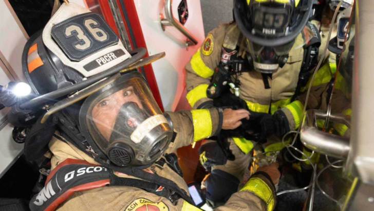 Firefighters Pulled a Soot-Covered Cat and a Hamster From a Florida House Fire