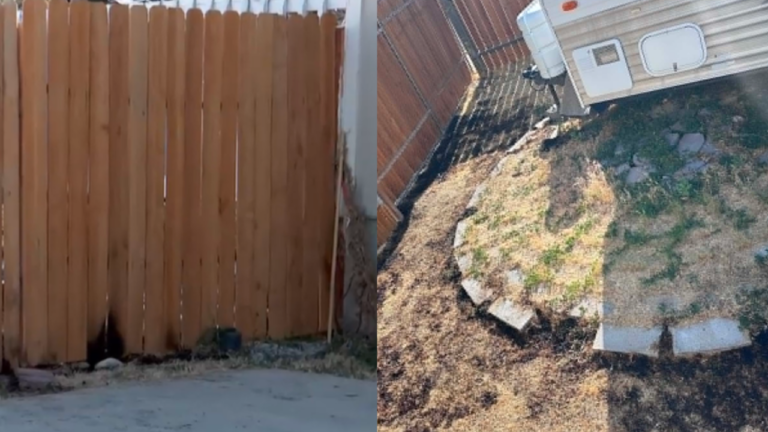 A Flower Firework Came Over a Utah Family’s Fence and Set a Nearby Yard on Fire. Neighbors Want to Know Who Did It.