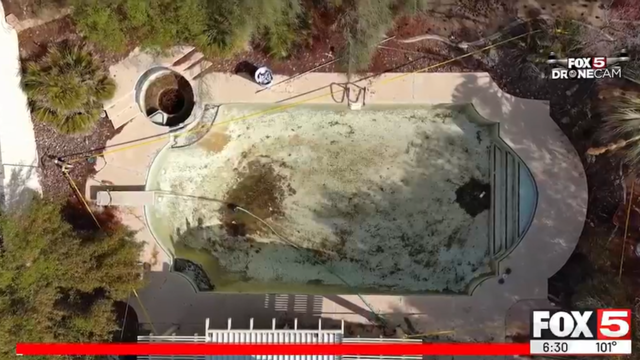 Green Pool Danger