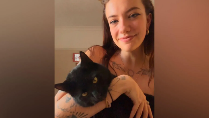 A Pet Cat Keeps Coming Home With Stolen Food, and It’s Hilariously Confusing Everyone