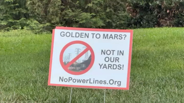 One Homeowner Could Lose a Third of Her Yard to Power Lines for Data Centers