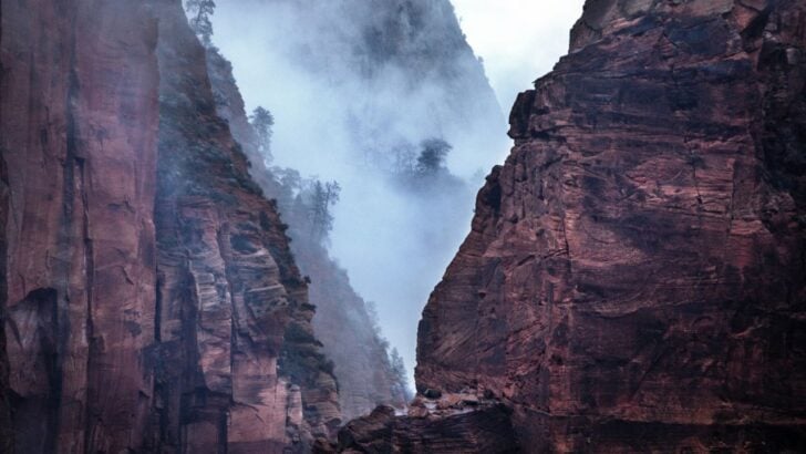 Weather Can Change in a Heartbeat: Zion Issues Warning After Sudden Storm Sends Visitors Running