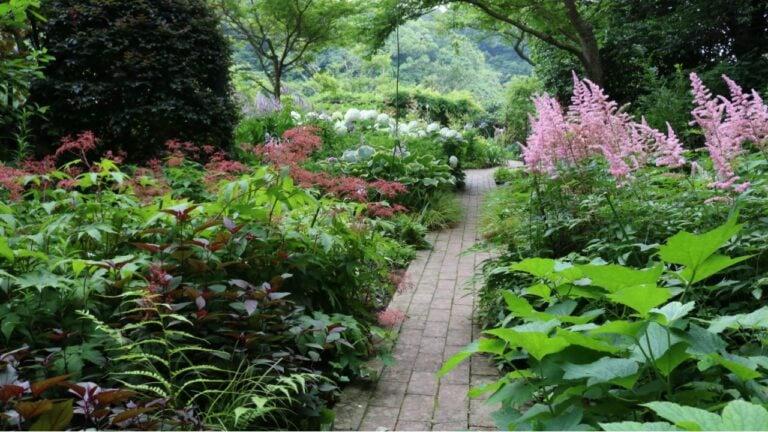 Kamakura shade Garden