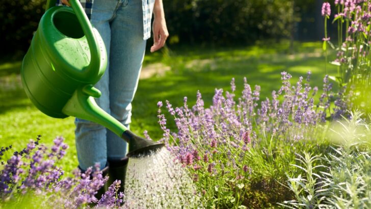 You’re Watering Your Garden Wrong Before a Heat Wave