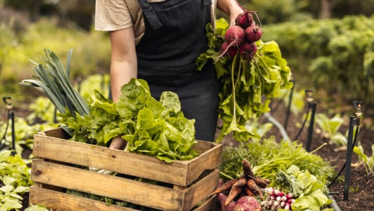 12 Vegetables That Worth Every Penny to Grow for Their Massive Yield