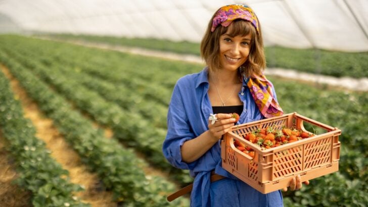 Top Garden Tips That Save You Serious Time and Money, According to Experts