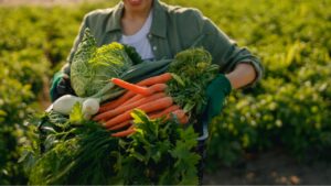 Close up of woman farmer with just harvested vegetables basket ready to sale. Agricultural concept