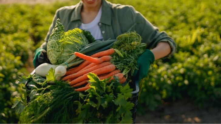 Plant These 8 Vegetables Right Now in July and Cut Your Fall Grocery Bill by $600