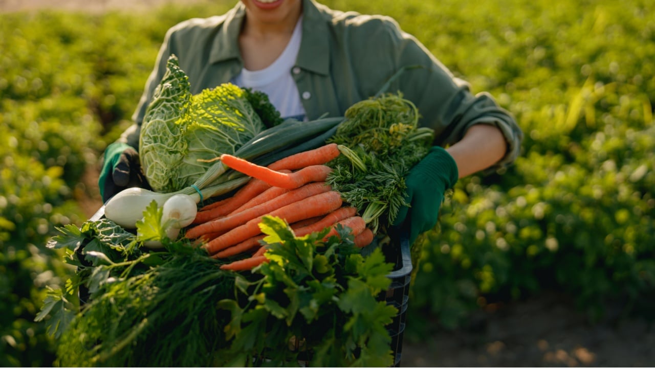 Close up of woman farmer with just harvested vegetables basket ready to sale. Agricultural concept