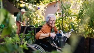 Close up of senior woman in wheelchair taking care of zucchini plant in urban garden.