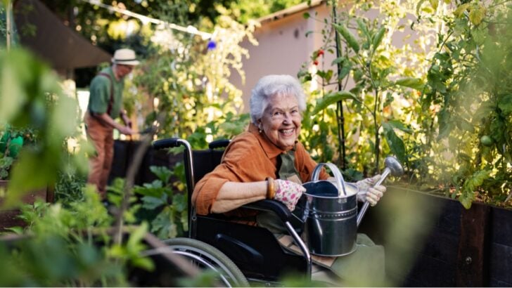 Why Senior Gardeners Are Switching to Container Gardens