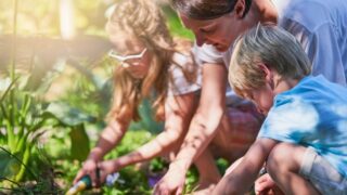 Gardening, mother and kids in backyard, nature and bonding together with hobby, playful and skills. Family, single parent and mama with children, plants or learning environment with landscape or soil