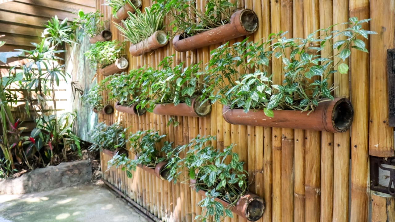 Vertical garden made of bamboo as the solution for home gardening in narrow urban areas