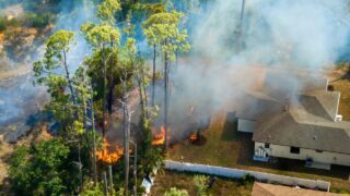 Wildfire spreads rapidly through wooded area near Florida houses, with flames close to residential properties