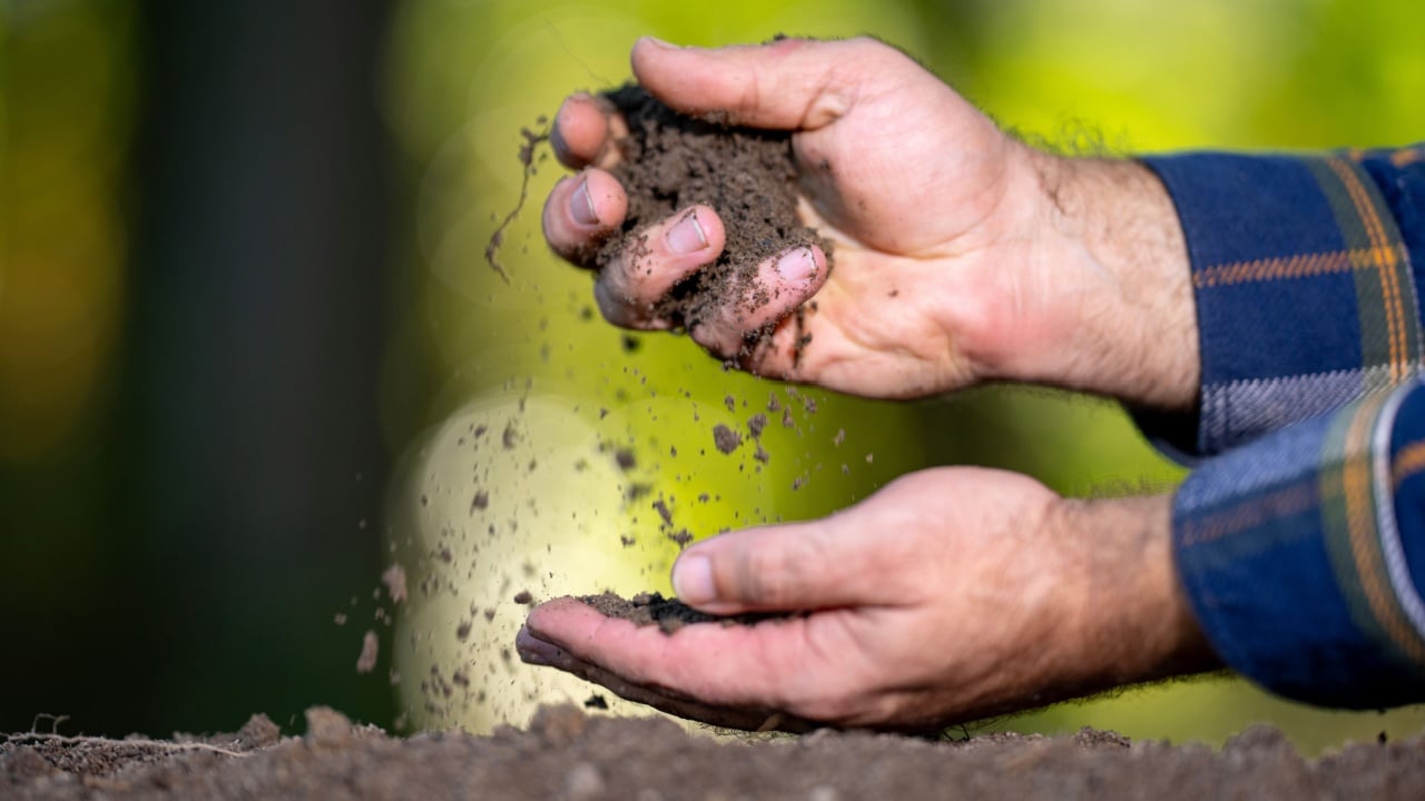 Soil and organic fertilizer concept. Farming with soil. Hand testing soil.