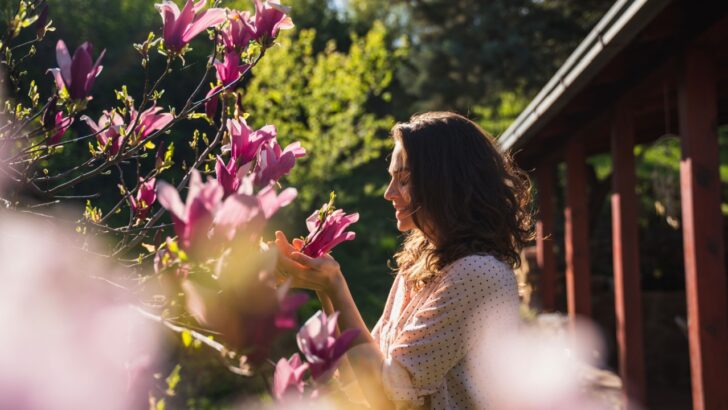 Gardening Reduces Stress: Here are 12 Steps to Turn Your Garden into a Mindfulness Haven