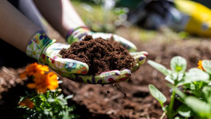 9 Things You’re Tossing in the Trash That Could Fix Your Garden Soil for Free