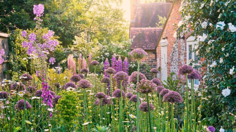 A traditional English country cottage garden with flowers in summer