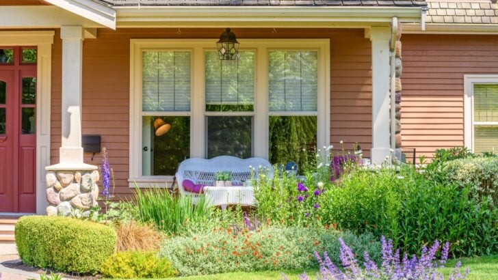 13 Drought-Tolerant Plants That Make a Xeriscape Look Lush