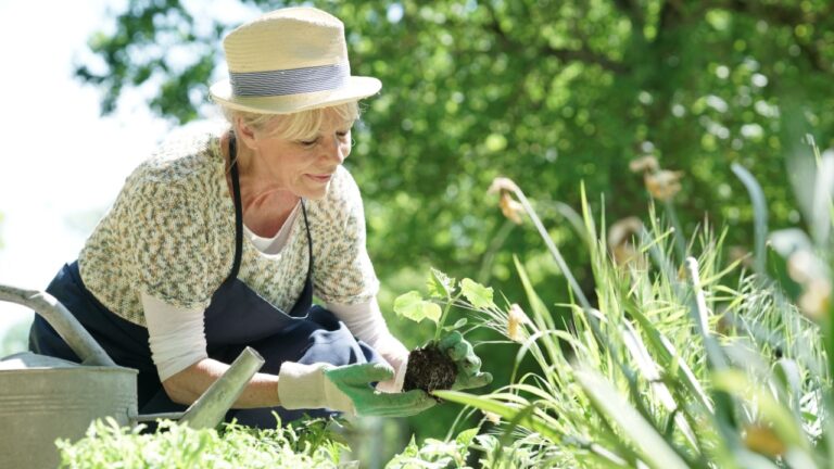 Senior woman gardening on beautiful spring day