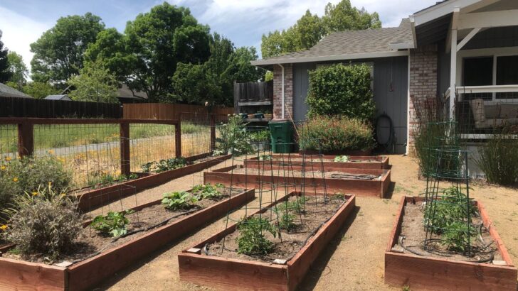 A Victory for Small Backyards— Newton Homeowners Can Now Put Raised Garden Beds Closer to Property Lines