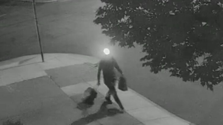 San Francisco Homeowners Are Being Left With Sidewalk Holes After Sewer Grate Thefts