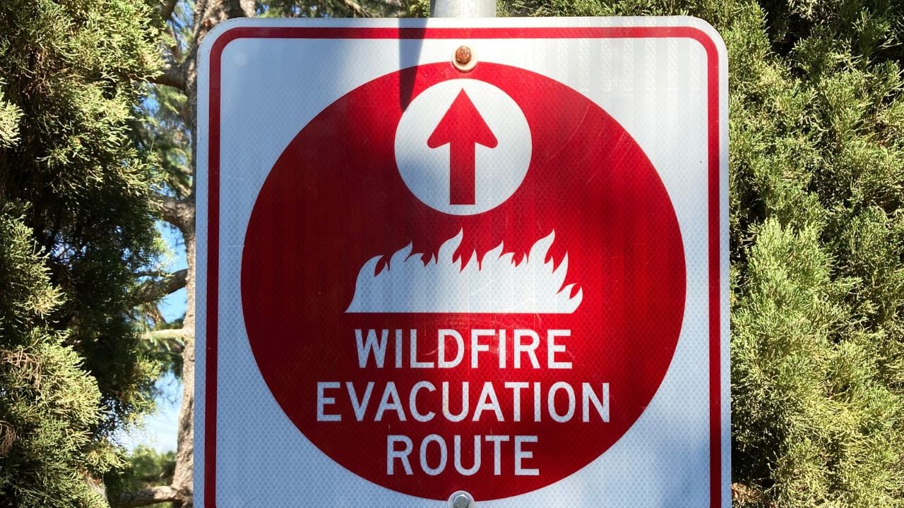 Red wildfire evacuation route sign with ahead arrow that point in the correct direction of voluntary or mandatory egress during fire emergency.
