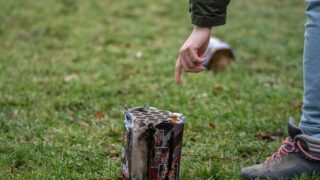 Warsaw, Poland - January 1, 2022: Dog and fireworks. A young white dog plays on the lawn with a firework wrapping after New Years Eve.